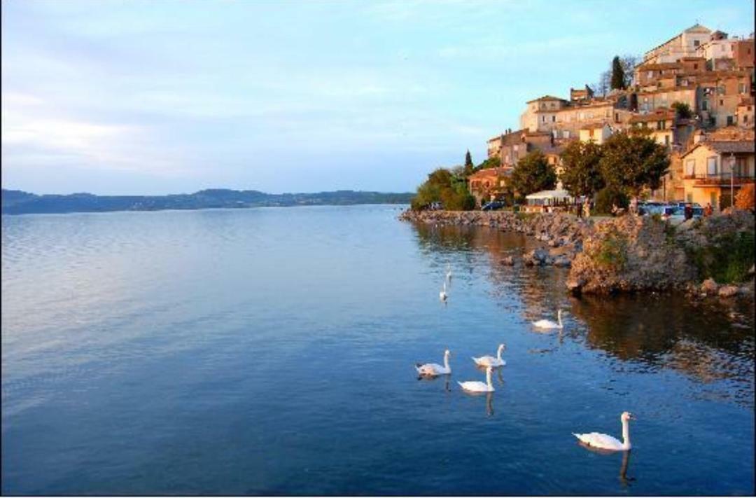 Il Del Bed & Breakfast Anguillara Sabazia